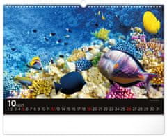 NOTIQUE Stenski koledar Ocean 2025, 48 x 33 cm