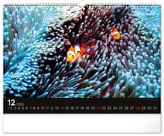 NOTIQUE Stenski koledar Ocean 2025, 48 x 33 cm