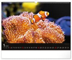 NOTIQUE Stenski koledar Ocean 2025, 48 x 33 cm