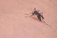 Boxman Draker RTU proti komarjem in klopom pripravljen za uporabo 400ml (R)