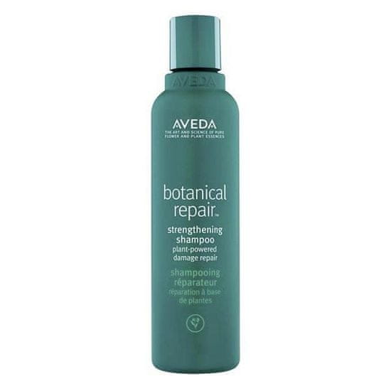 Aveda Aveda Botanical Repair Strengthening Shampoo 200ml