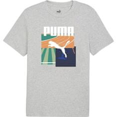 Puma Majice siva L Graphics Summer Sports