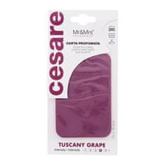 Mr&Mrs Cesare Scented Card Tuscany Grape 1 kos osvežilci za vozilo