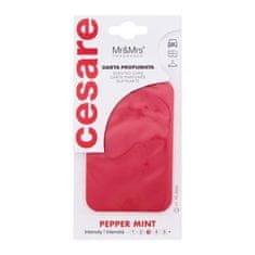 Mr&Mrs Cesare Scented Card Pepper Mint 1 kos osvežilci za vozilo