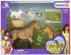 Schleich Horse Club 42432 Set žrebička in quarter konja s kužkom in dodatki