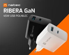 Natec Ribera GaN univerzalni polnilec, 45 W, USB-A, USB-C, črn