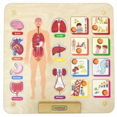 Masterkidz  Montessori Učna tabla za postavitev človeškega telesa