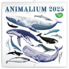 NOTIQUE Mrežni koledar Animalium 2025, 30 x 30 cm