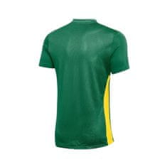 Nike Majice obutev za trening zelena XL Dri-fit Park Derby Iv