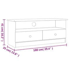 Vidaxl TV omarica s predali ALTA 100x35x41 cm trdna borovina