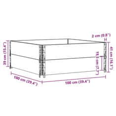 Vidaxl Paletni okvirji 2 kosa 100x100 cm trdna borovina