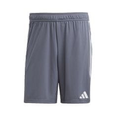 Adidas Hlače obutev za trening siva 164 - 169 cm/S Tiro 23 League