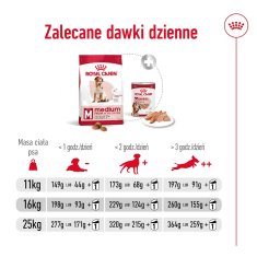 Royal Canin ROYAL CANIN Medium Adult 7+ - suha hrana za pse - 15 kg