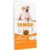 IAMS IAMS for Vitality Adult Large Breed - suha hrana za pse - 12 kg