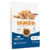 IAMS IAMS Advanced Nutrition Cat Adult Tuna - suha hrana za mačke - 10 kg