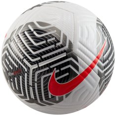 Nike Nike Futsal nogometna žoga FB2894-100