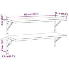 Vidaxl Stenske police 2 kosa 100x40 cm srebrna nerjaveče jeklo