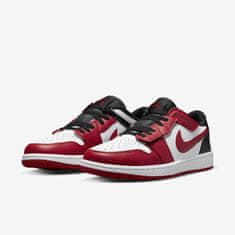 Noah Buty Nike Air Jordan 1 Low FlyEase M DM1206-163