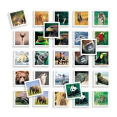 NEW Didaktična igra Diset Memo Photo Animales 54 Kosi