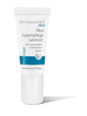 Dr. Hauschka Labimint - akutna (Lip Care ) 5 ml