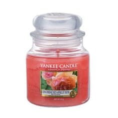 Yankee Candle Aromatična srednje sveča marelična vrtnica s soncem 411 g