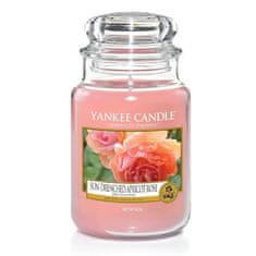 Yankee Candle Aromatična velika sveča Marelična vrtnica s soncem 623 g