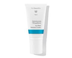 Dr. Hauschka (Ice Plant Intensive Cream) 50 ml