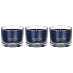 Yankee Candle Komplet votivnih sveč v kozarcu Bayside Cedar 3 x 37 g