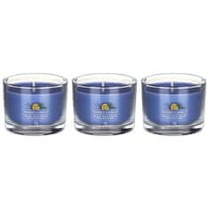 Yankee Candle Komplet votivnih sveč v kozarcu Black Tea & Lemon 3 x 37 g