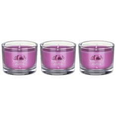 Yankee Candle Komplet votivnih sveč v Orchid 3 x 37 g