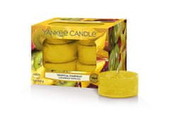 Yankee Candle Aromatične čajne Tropica l Starfruit 12 x 9,8 g