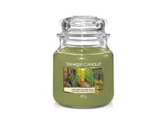 Yankee Candle Aromatična sveča Classic medium Autumn Nature Walk 411 g