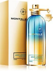 Montale Paris Aoud Lagoon - EDP 100 ml