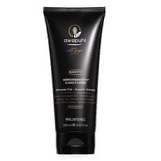 Paul Mitchell Awapuhi (Wild Ginger Mirrorsmooth Conditioner) (Neto kolièina 200 ml)