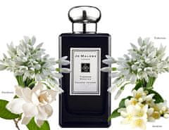 Jo Malone Tuberose Angelica - EDC INTENSE 100 ml