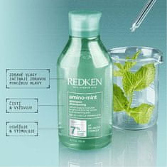 Redken Amino mint čistilni šampon za občutljivo kožo in hitro mastne lase (Shampoo) (Neto kolièina 300 ml)