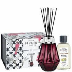 Maison Berger Paris Prisme granat difuzor stick darilni set + Divočina polnilo 200 ml