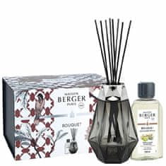 Maison Berger Paris Prisme black difuzor stick darilni set + Divočina polnilo 200 ml