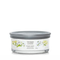 Yankee Candle Aromatična sveča Signature tumbler medium Midnight Jasmine 340 g