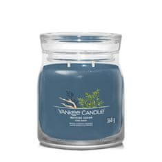 Yankee Candle Aromatična sveča Signature glass medium Bayside Cedra 368 g