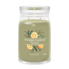 Yankee Candle Aromatična sveča Signature velik kozarec Žajbelj & Citrus 567 g