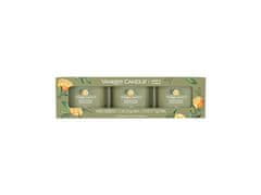 Yankee Candle Komplet votivnih sveč iz stekla Sage & Citrus 3 x 37 g