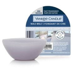 Yankee Candle Mirno in tiho mesto (New Wax Melt) 22 g