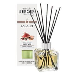 Maison Berger Paris Aroma difuzor Cube Dežela začimb 125 ml