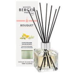 Maison Berger Paris Difuzor Cube Orange Blossom 125 ml