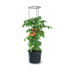 Prosperplast Lonec za paradižnik Tomato Grower IPOM400