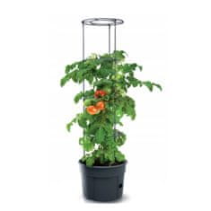 Prosperplast Lonec za paradižnik Tomato Grower IPOM300