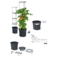 Prosperplast Lonec za paradižnik Tomato Grower IPOM400