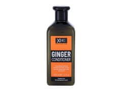 Xpel Xpel - Ginger - For Women, 400 ml 