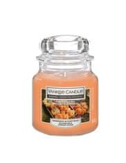 Yankee Candle Dišeča sveča Home Inspiration mala Pumpkin Harvest 104 g